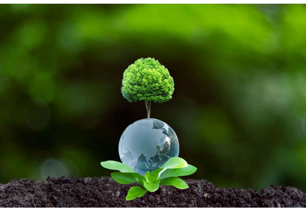 Podpora obnovitelného tepla: vliv kotlů na biomasu na emise CO₂